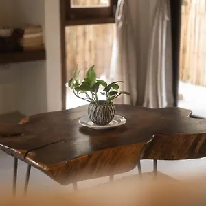 מלון Big Tree Boutique